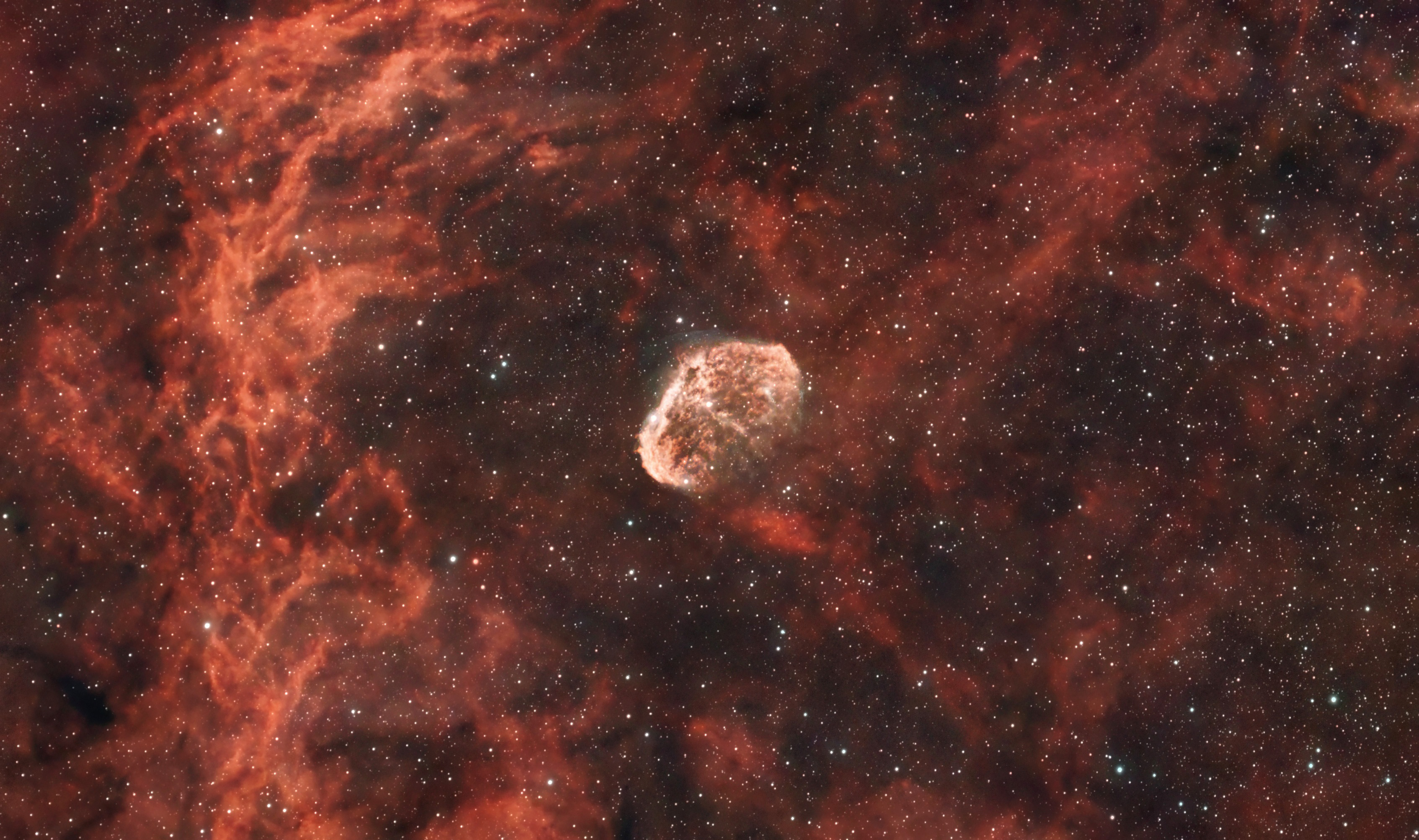 The Crescent Nebula with Touptek ToupTek ATR585C and Redcat 51