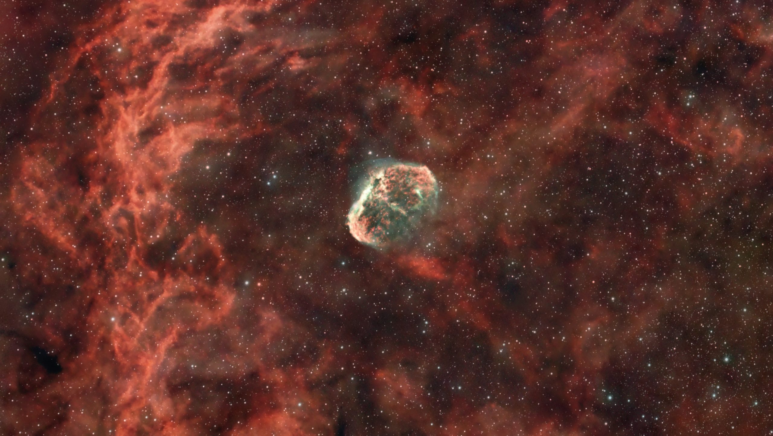The Crescent Nebula Oxygen shellwith Touptek ToupTek ATR585C and Redcat 51